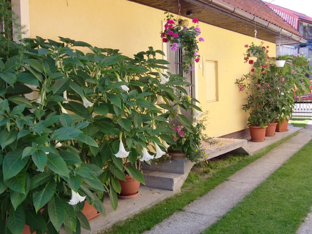 Chalupa Kucbel Liptovská Teplá Exterior foto